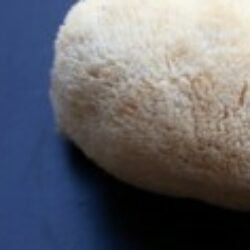 Profile picture of jab