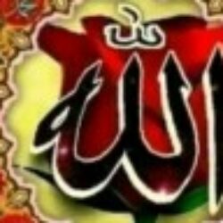 Profile picture of তারা খাতুন