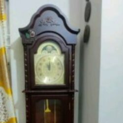 Profile picture of শারমিন শুচি