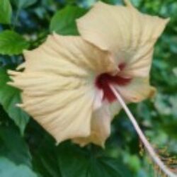 Profile picture of তীর্থ প্রহর