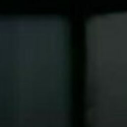 Profile picture of Md