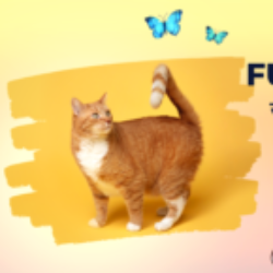 Profile picture of পানি