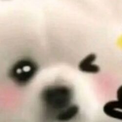 Profile picture of মুক্তাদির মাহমুদ