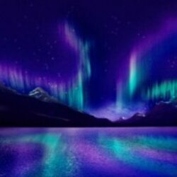 Profile picture of মালিহা আফরোজ