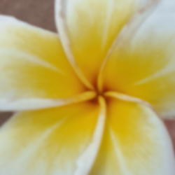 Profile picture of সাবিকুন নাহার