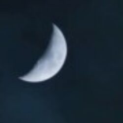 Profile picture of রাইজুল ইসলাম