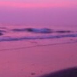 Profile picture of Pure Smart Agro