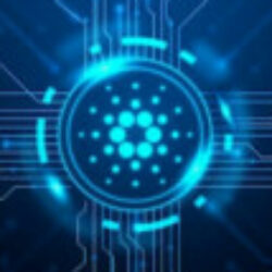 Profile picture of মুতাসিম বিল্লাহ্