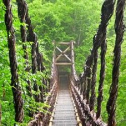 Profile picture of মাঈন উদ্দিন