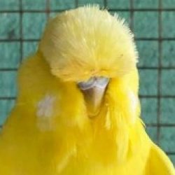 Profile picture of hellboy