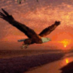 Profile picture of rez