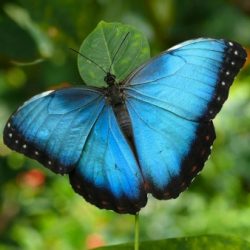 Profile picture of Rumi PK