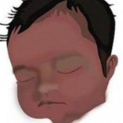 Profile picture of lincoln chatkhil