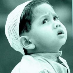 Profile picture of almahmud