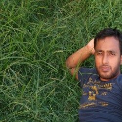 Profile picture of Shahidul Sahed