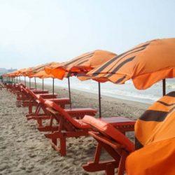 Profile picture of abedinmd