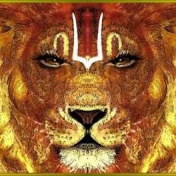 Profile picture of ROY