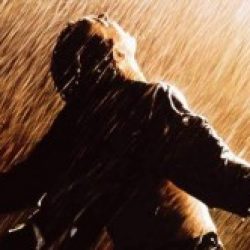 Profile picture of muradpavel