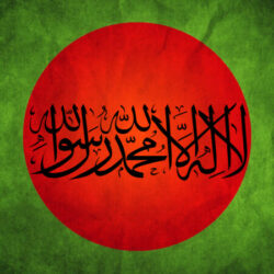 Profile picture of Tareque Hasan