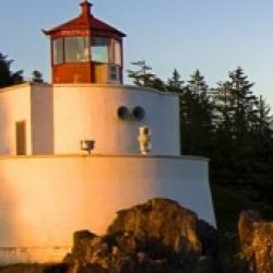 Profile picture of swajan143