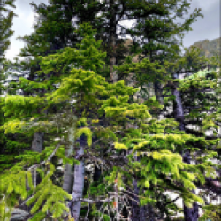 Profile picture of Abid khan247