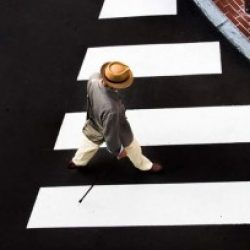 Profile picture of bayezid admin