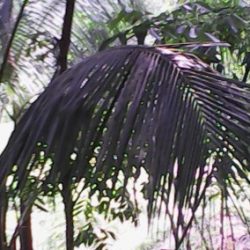 Profile picture of taher bahari