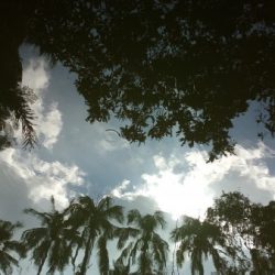 Profile picture of তাসলিমুল হাসান