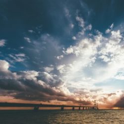 Profile picture of ******* ******