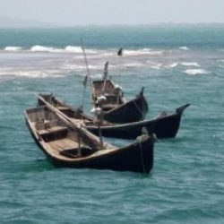 Profile picture of মোহাম্মদ বদিউজ্জামান