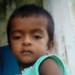 Profile picture of আল মাহমুদ