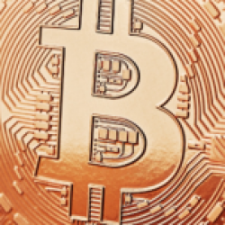 Profile picture of মিকাইল ইসলাম মিকাইল