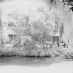 Profile picture of রোকন চৌধুরী অনিক