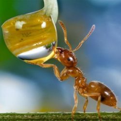 Profile picture of জ্ঞান পাগল