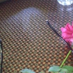 Profile picture of SyedTech