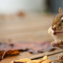 Profile picture of রায়হান উদ্দিন