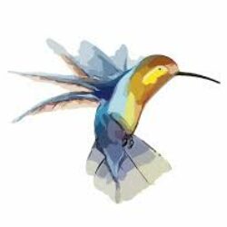 Profile picture of বায়েজিদ বোস্তামী