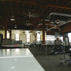 Profile picture of Touhidur Rahman Mahin