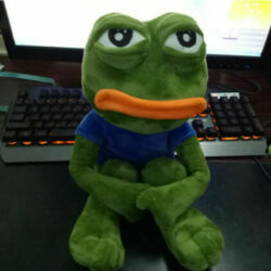 Profile picture of মেহেদি হাসান শান্ত