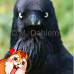 Profile picture of শাহরিয়ার সৌরভ