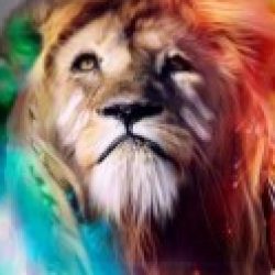 Profile picture of শাওন ইসলাম