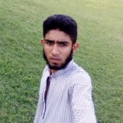 Profile picture of সফিউল ইসলাম তানজিল