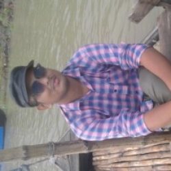 Profile picture of তানভীর হাসান বাপ্পী