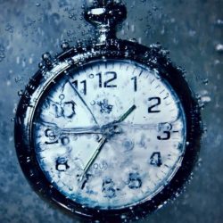 Profile picture of মুহম্মদ আব্দুল্লাহ মামুন