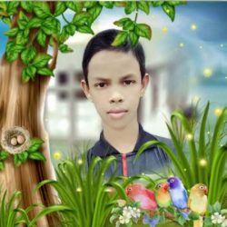 Profile picture of Nazrul Islam Nabil