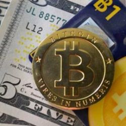 Profile picture of বট ১