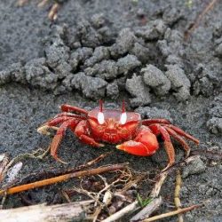 Profile picture of স্বপ্ন রাজ্য