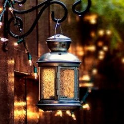 Profile picture of লাইটবিহীন ল্যাম্পপোষ্ট