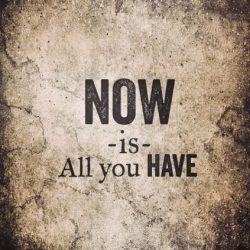 Profile picture of মুসাফির মুহাম্মদ