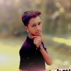 Profile picture of মোহাম্মদ স্বাধীন